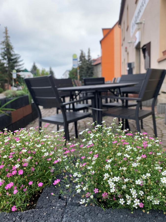Divino Pension Zorbau Apartment Lützen Exterior foto